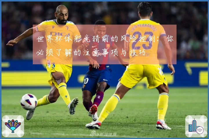世界杯体彩竞猜前的风险控制：你必须了解的注意事项与技巧