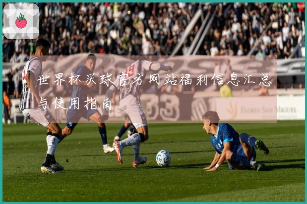 世界杯买球官方网站福利信息汇总与使用指南