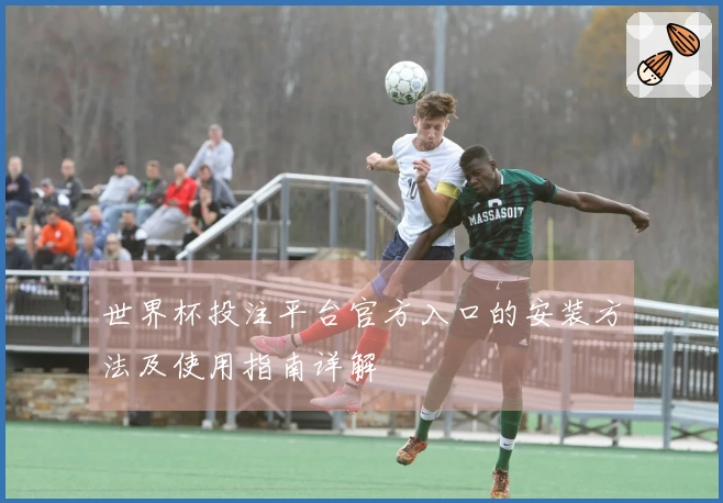 世界杯投注平台官方入口的安装方法及使用指南详解