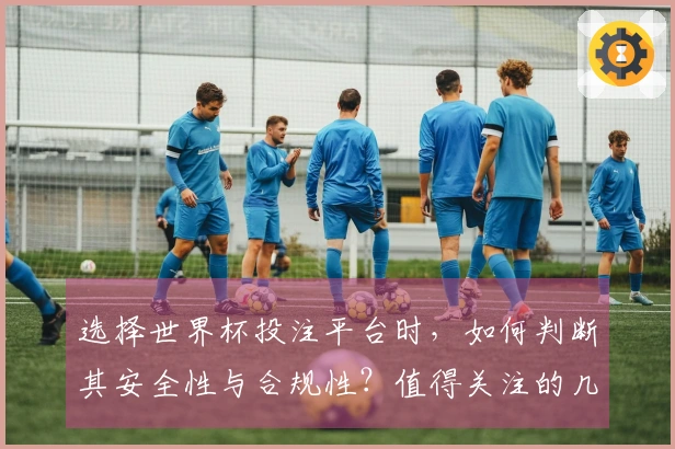 选择世界杯投注平台时，如何判断其安全性与合规性？值得关注的几点分享
