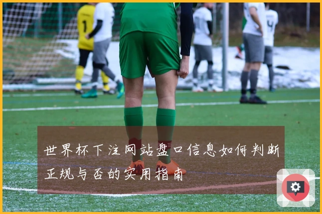 世界杯下注网站盘口信息如何判断正规与否的实用指南