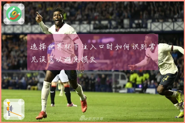 选择世界杯下注入口时如何识别常见误区以避免损失