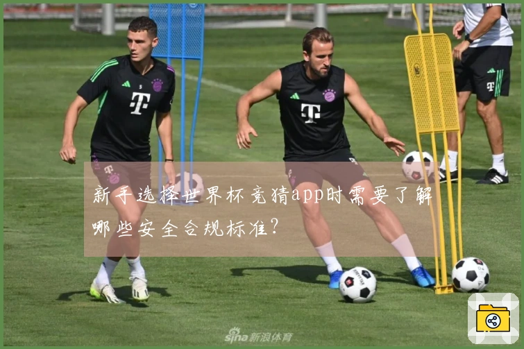 新手选择世界杯竞猜app时需要了解哪些安全合规标准？