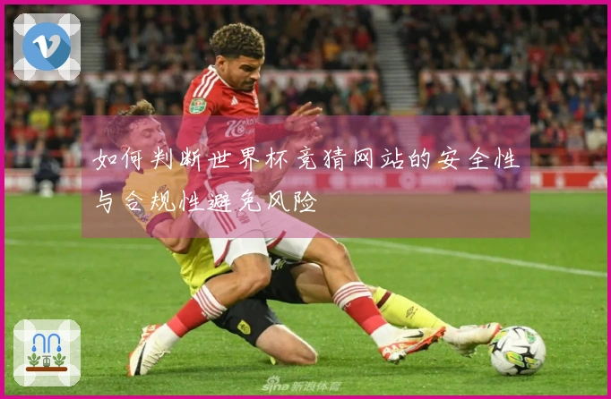 如何判断世界杯竞猜网站的安全性与合规性避免风险