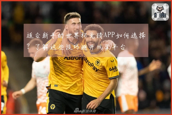 适合新手的世界杯竞猜APP如何选择？了解这些技巧避开坑爹平台