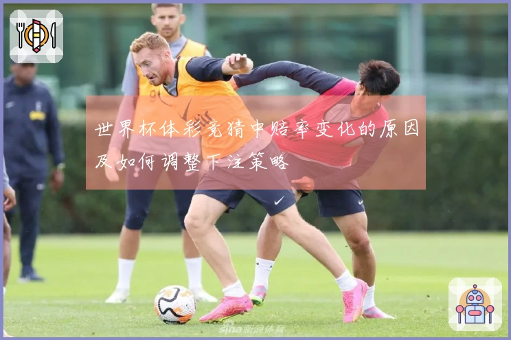 世界杯体彩竞猜中赔率变化的原因及如何调整下注策略