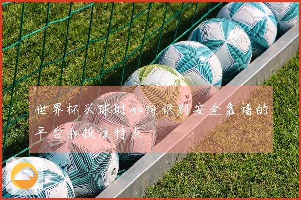 世界杯买球时如何识别安全靠谱的平台和投注特点