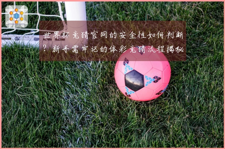 世界杯竞猜官网的安全性如何判断？新手需牢记的体彩竞猜流程揭秘