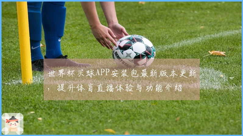 世界杯买球APP安装包最新版本更新，提升体育直播体验与功能介绍