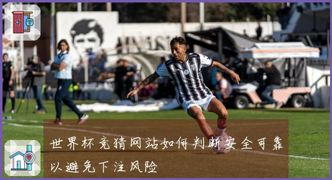 世界杯竞猜网站如何判断安全可靠以避免下注风险