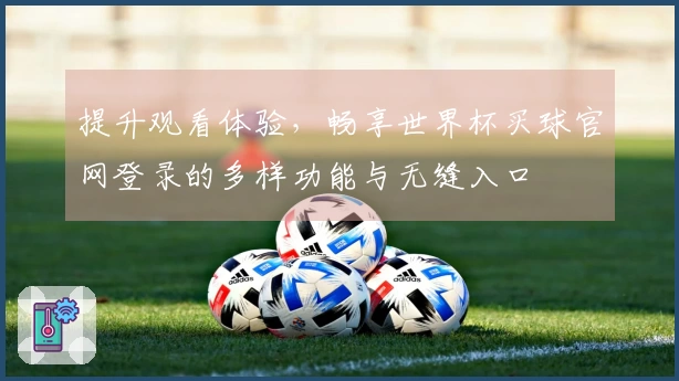 提升观看体验，畅享世界杯买球官网登录的多样功能与无缝入口