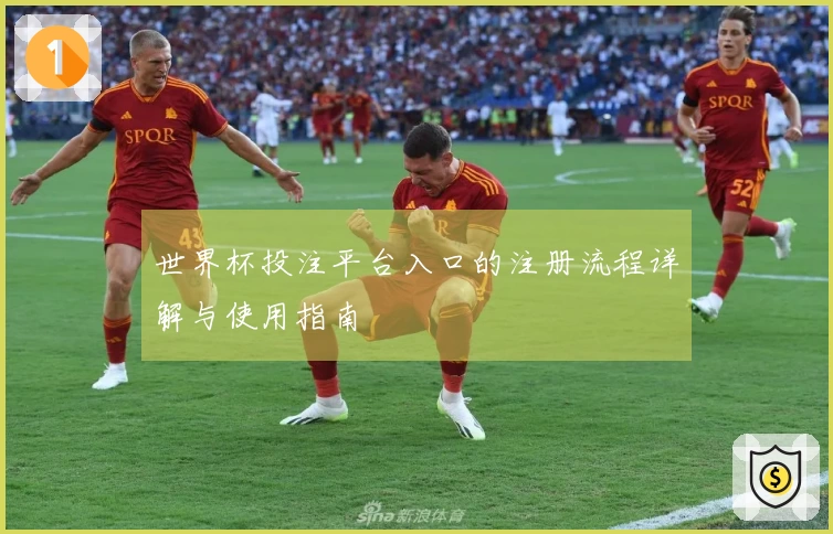 世界杯投注平台入口的注册流程详解与使用指南