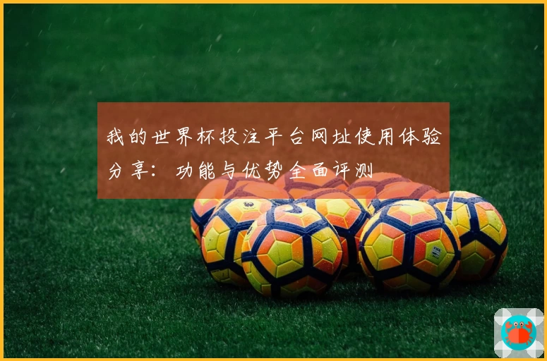 我的世界杯投注平台网址使用体验分享：功能与优势全面评测