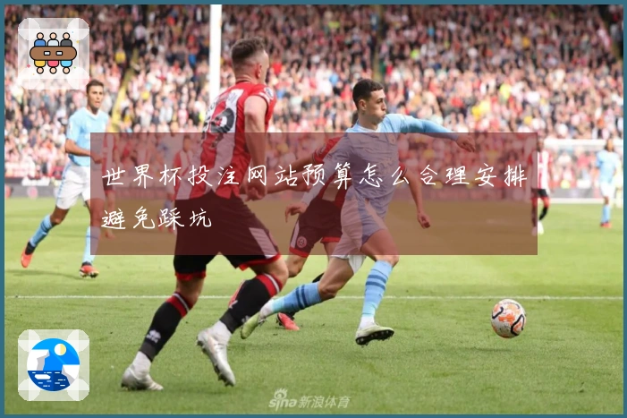 世界杯投注网站预算怎么合理安排避免踩坑
