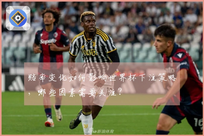 赔率变化如何影响世界杯下注策略，哪些因素需要关注？
