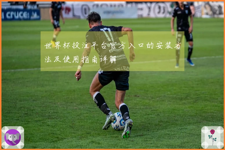世界杯投注平台官方入口的安装方法及使用指南详解