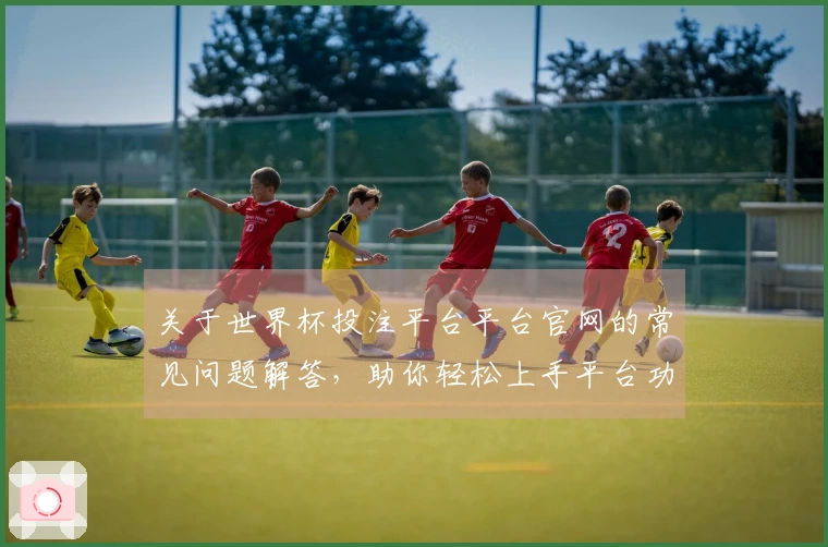 关于世界杯投注平台平台官网的常见问题解答，助你轻松上手平台功能与使用体验